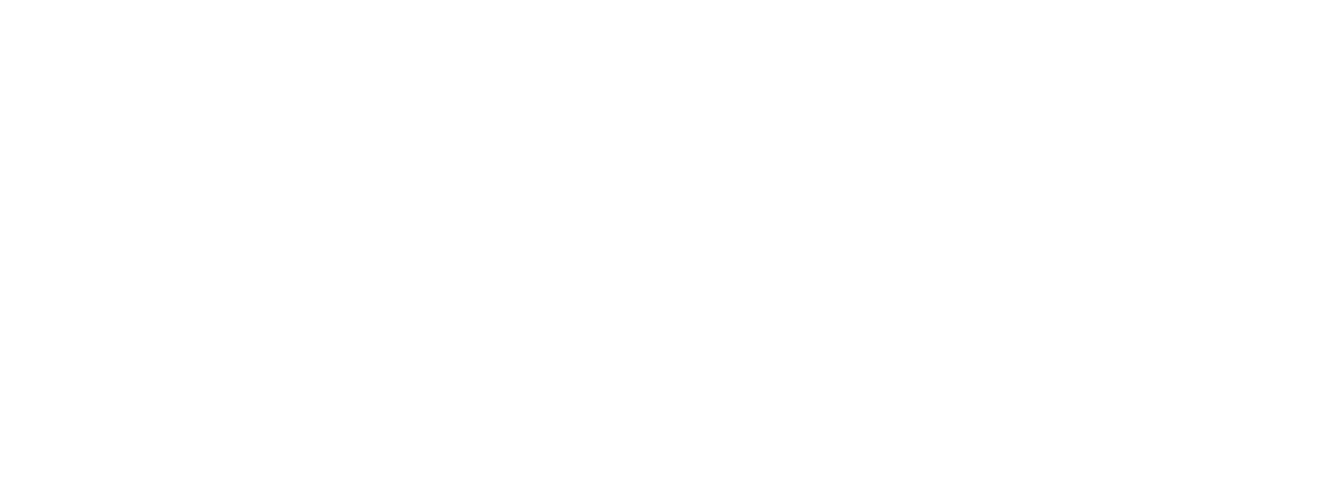 Truezir Logo